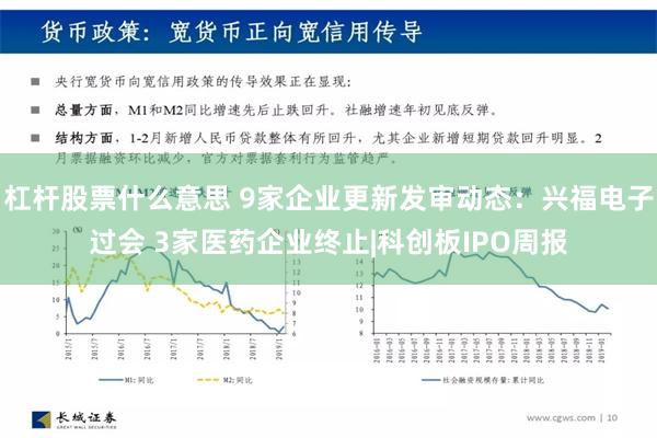 杠杆股票什么意思 9家企业更新发审动态：兴福电子过会 3家医药企业终止|科创板IPO周报