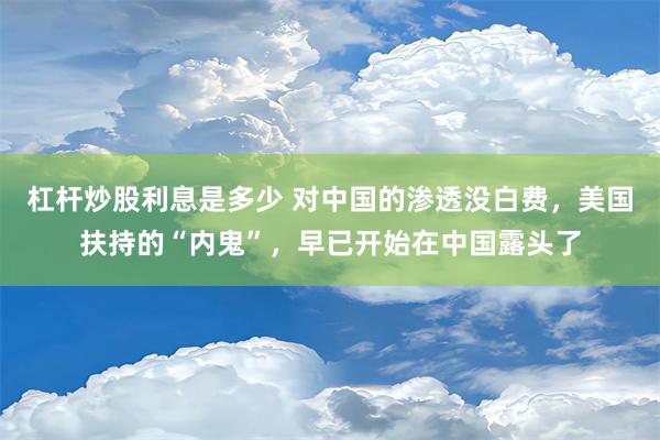 杠杆炒股利息是多少 对中国的渗透没白费，美国扶持的“内鬼”，早已开始在中国露头了