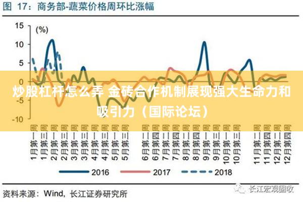 炒股杠杆怎么弄 金砖合作机制展现强大生命力和吸引力（国际论坛）