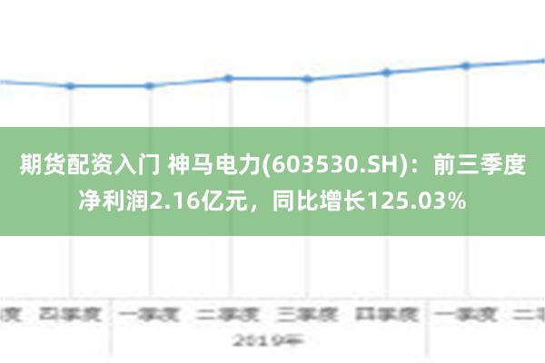 期货配资入门 神马电力(603530.SH)：前三季度净利润2.16亿元，同比增长125.03%