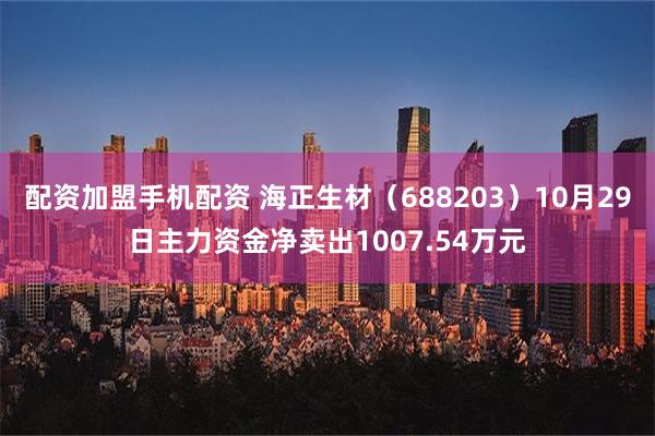 配资加盟手机配资 海正生材（688203）10月29日主力资金净卖出1007.54万元