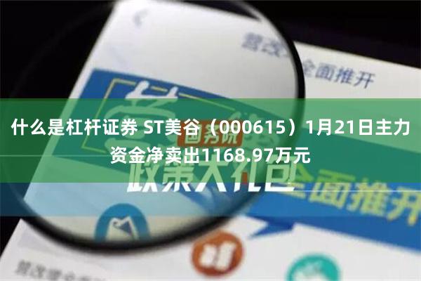 什么是杠杆证券 ST美谷（000615）1月21日主力资金净卖出1168.97万元